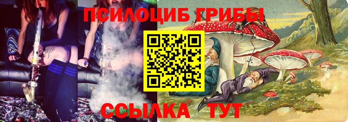 Псилоцибиновые грибы мухоморы  Вход с VPN  Советск 